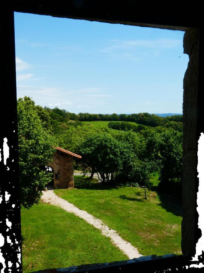 Grande Maison De Caractere En Pierres -Superbe Vue Saint-Cirgues  エクステリア 写真