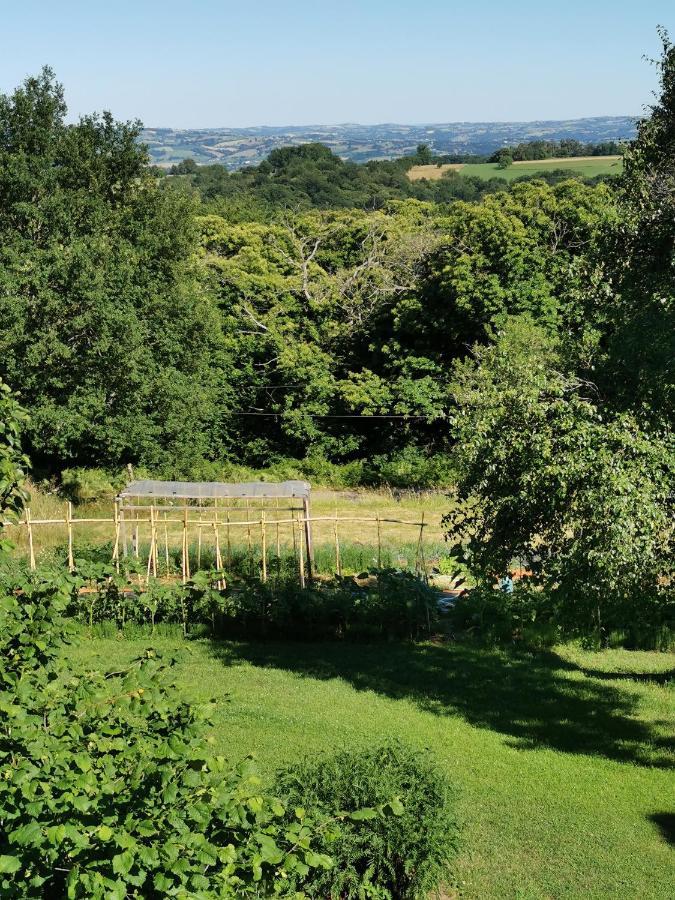 Grande Maison De Caractere En Pierres -Superbe Vue Saint-Cirgues  エクステリア 写真